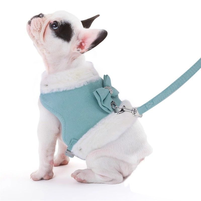 Bow Tie Puppy Harness - Warm Padded Dog Leash Set