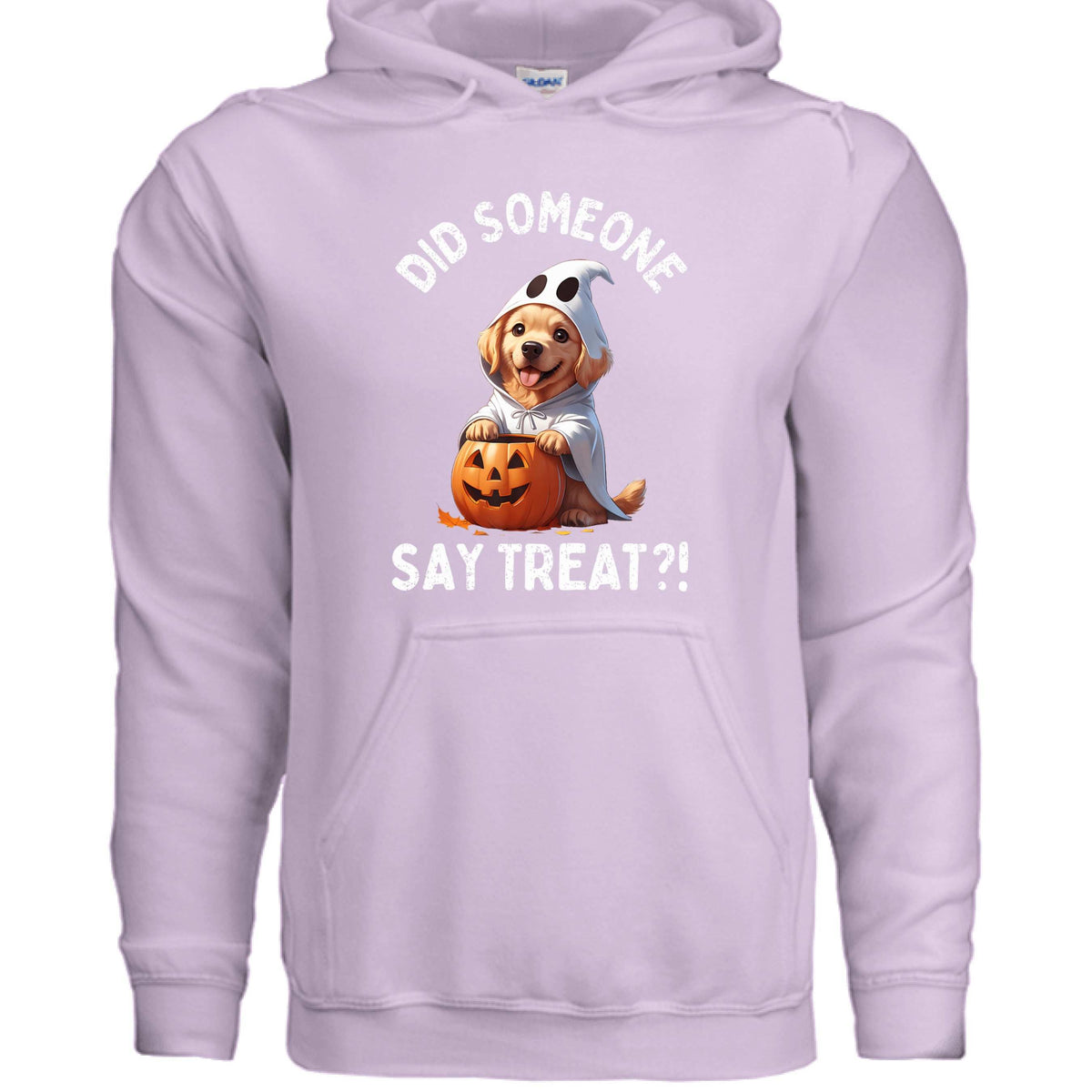 Did Someone Say Treats Hoodie Sweatshirt - Funny Dog Parent Pet Lover Hoodie