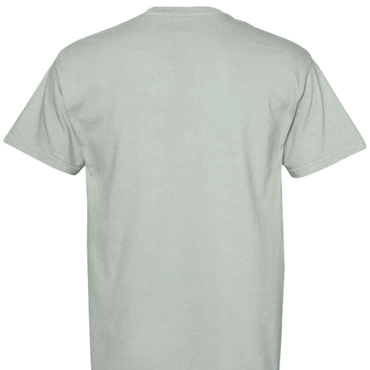 Comfort Colors T-Shirt - Funny Saying "Terrible Idea"