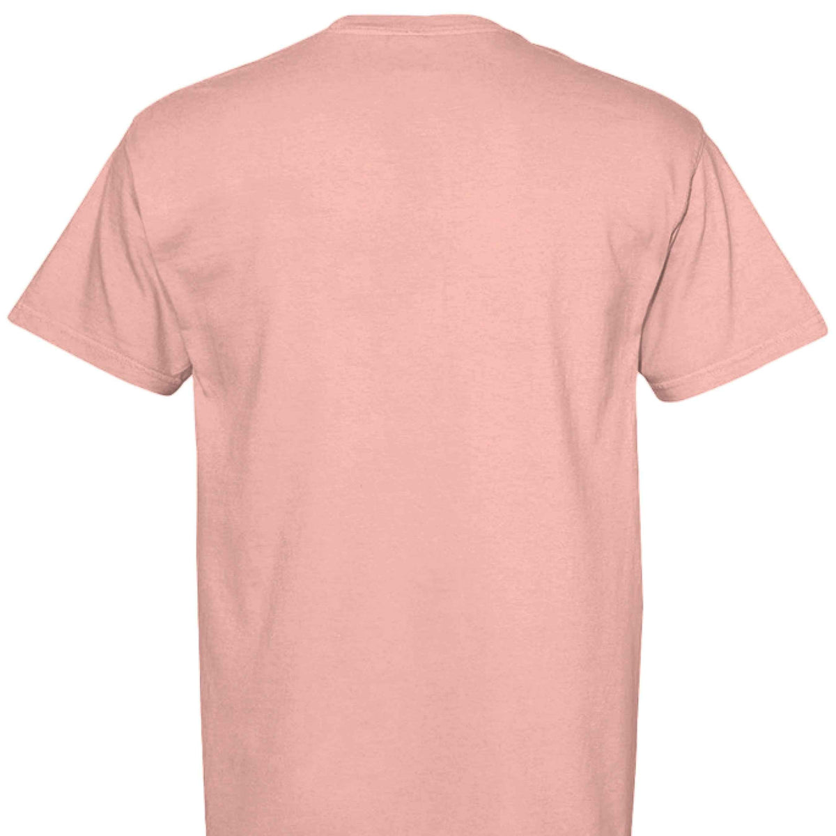 Comfort Colors T-Shirt - Funny Saying "Terrible Idea"