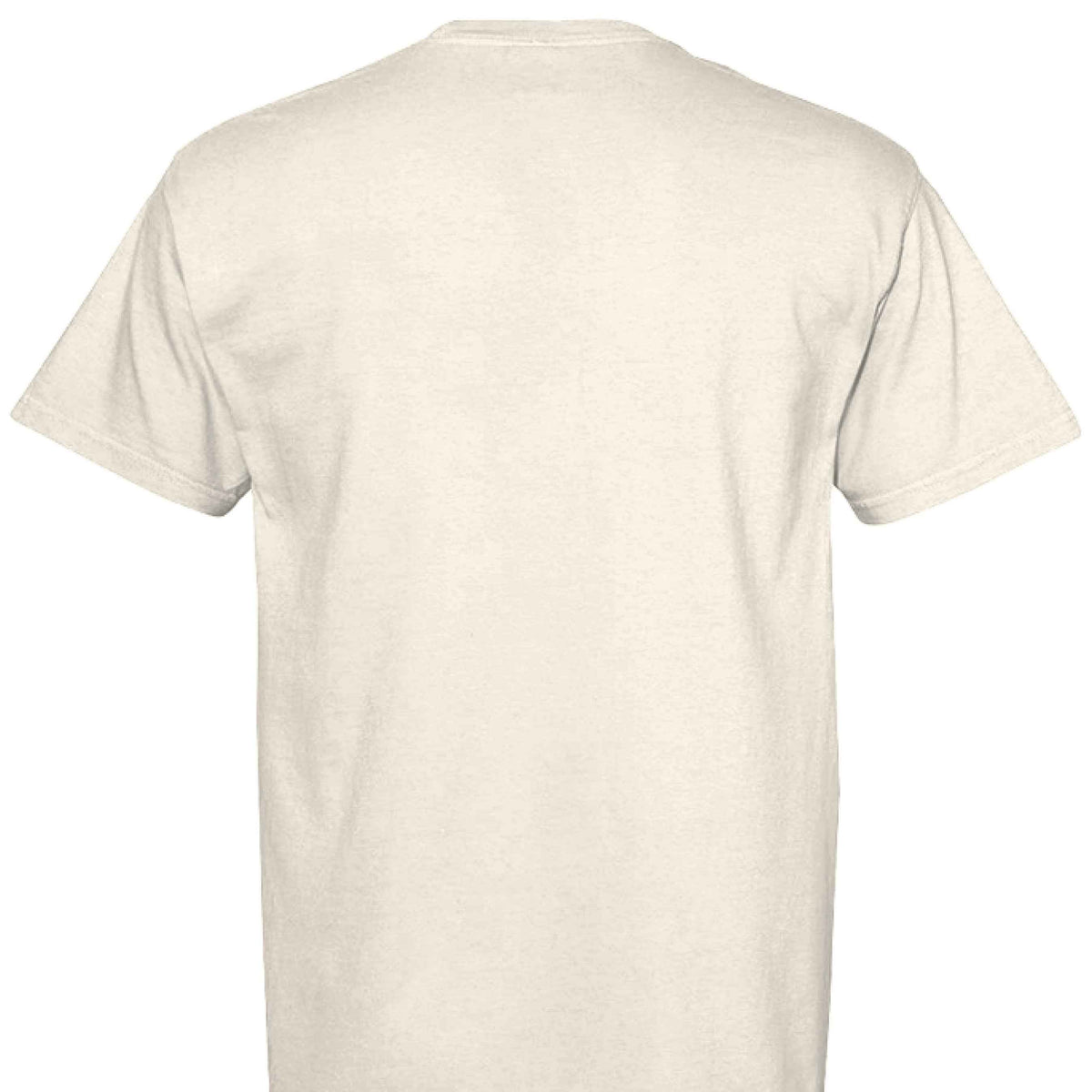 Comfort Colors T-Shirt - Funny Saying "Terrible Idea"