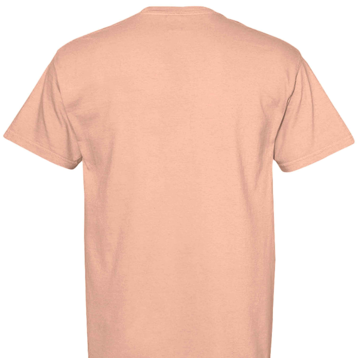 Comfort Colors T-Shirt - Funny Saying "Terrible Idea"