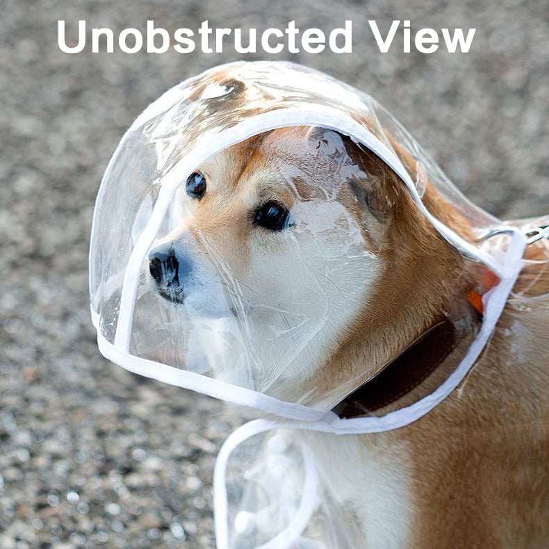 White Edge Transparent Pet Raincoat with Full Hood