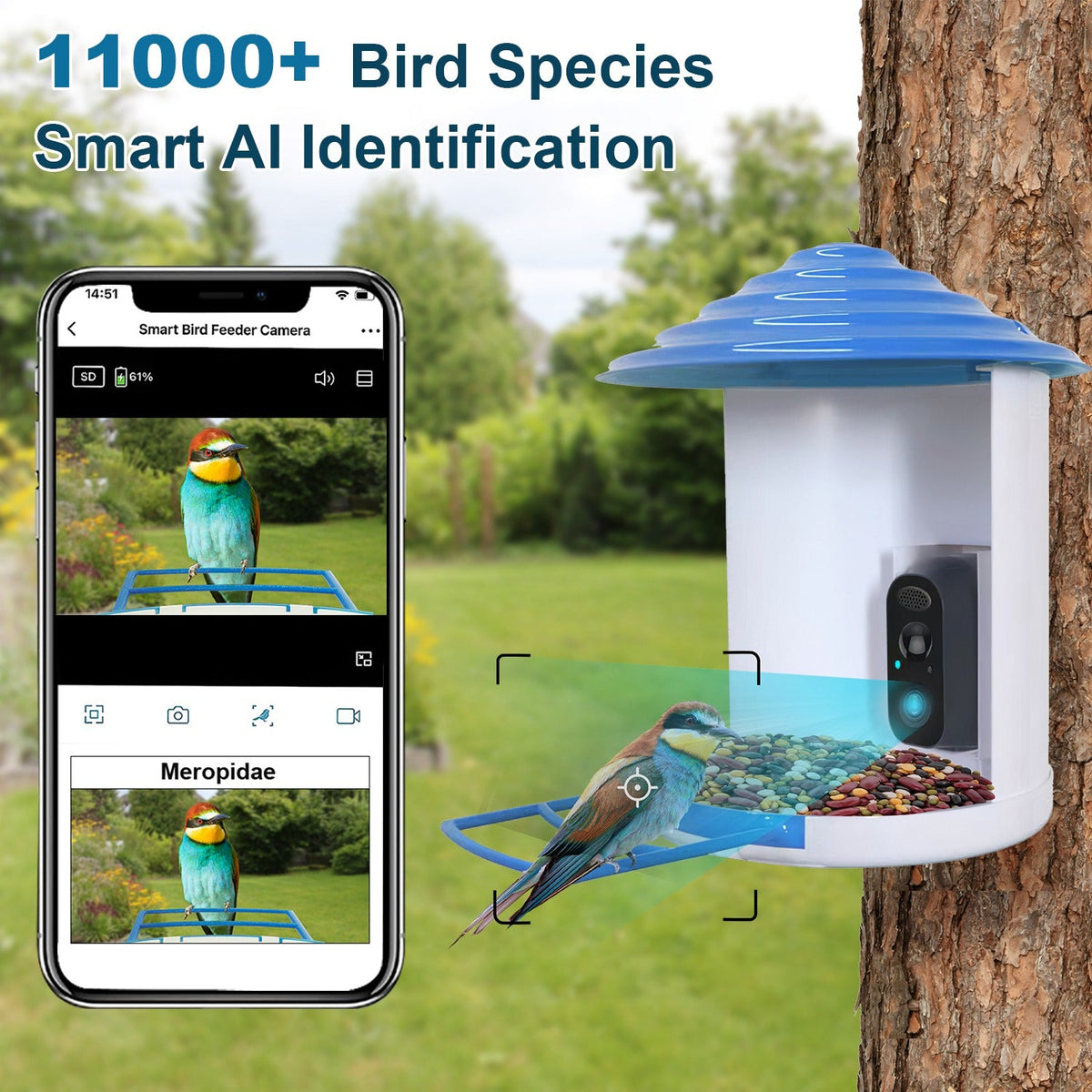 BirdCam Pro Feeder - Smart Solar HD Camera with AI ID