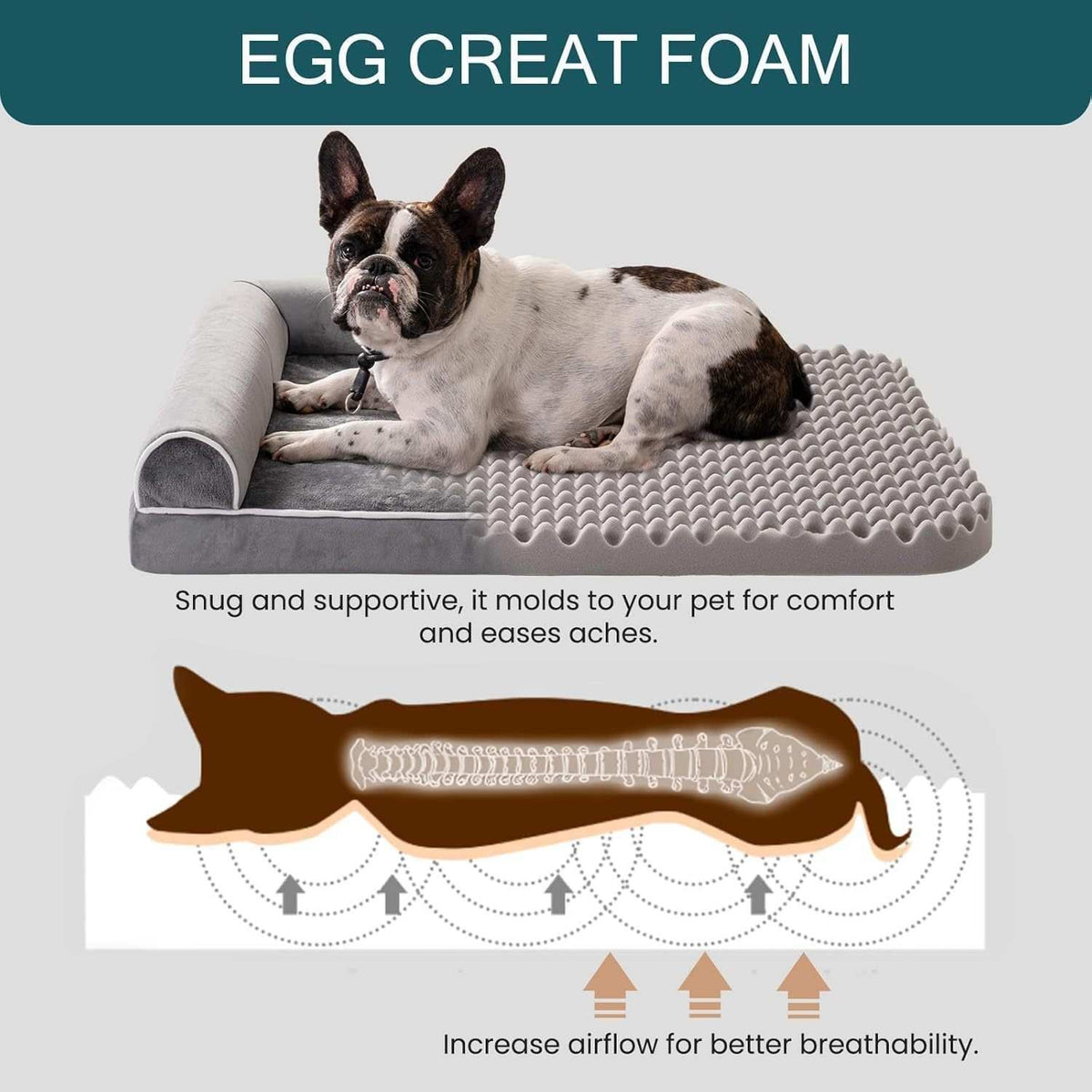 Orthopedic Dog Bed - XL Large Dogs