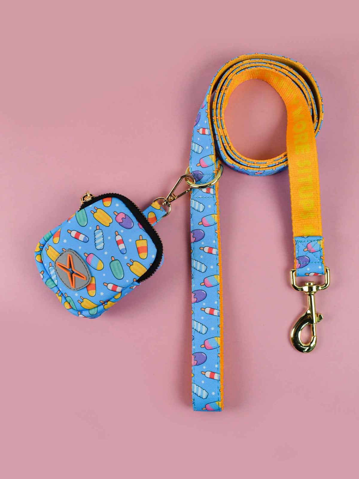 Dog Leash with Poop Bag Holder - Matching Set