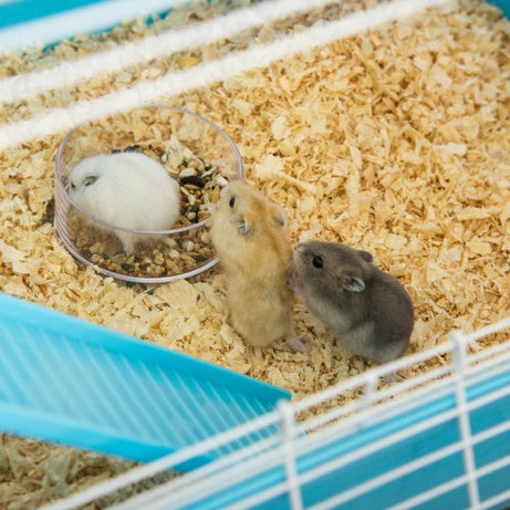 Extra-Large 23" Hamster Cage - 5-Tier with Tunnels