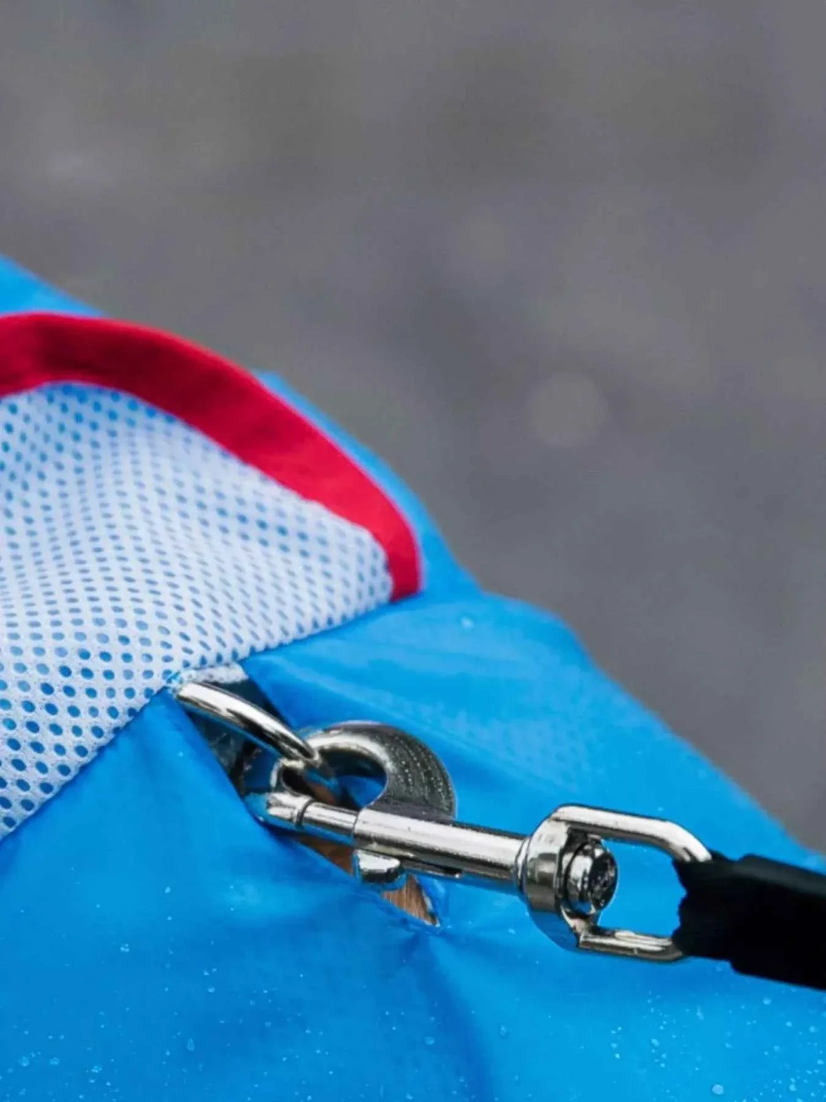 Waterproof Dog Raincoat - Dinosaur Style with Hood