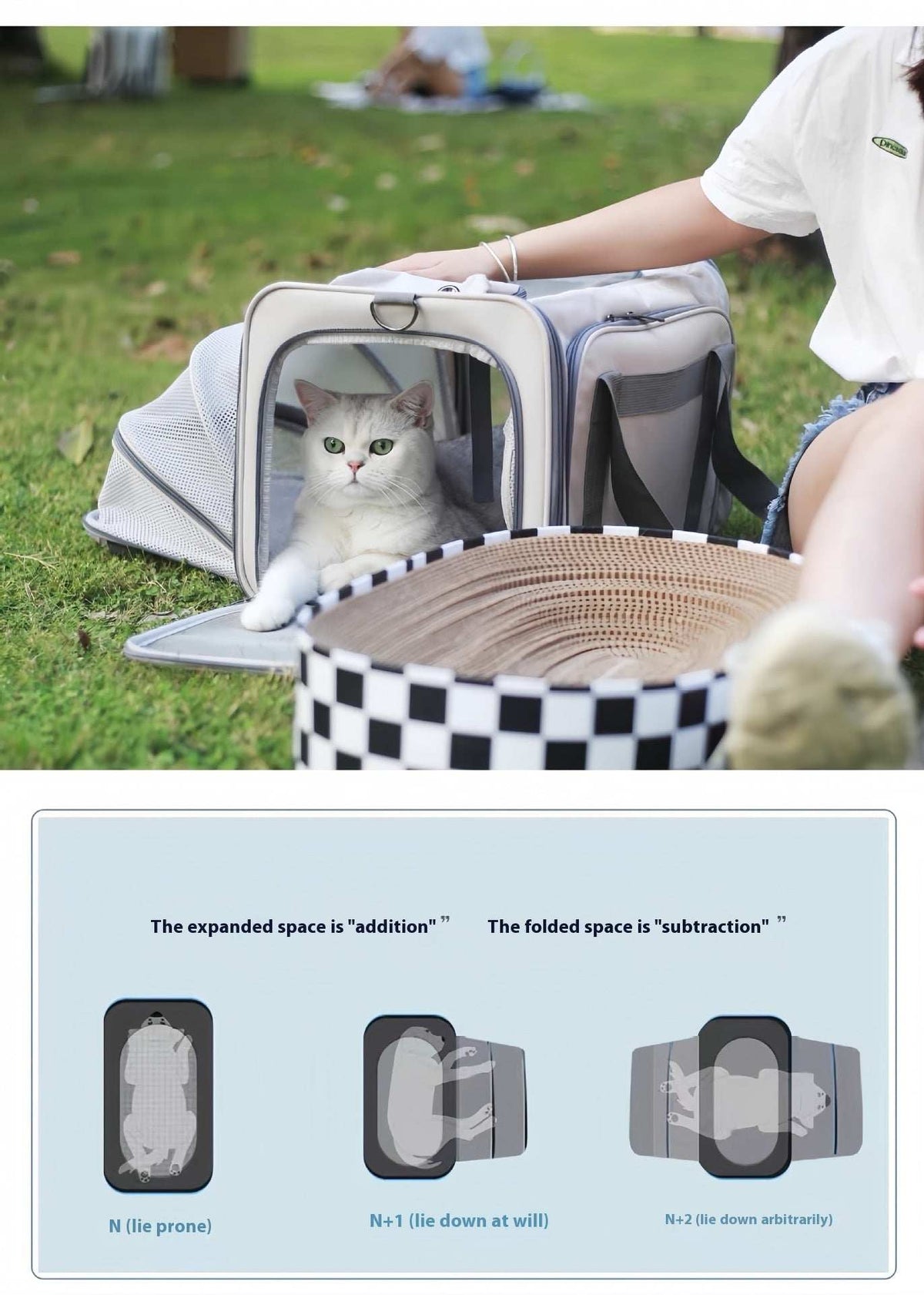 Portable Pet Carrier for Cats and Small Dogs - Breathable Travel Backpack