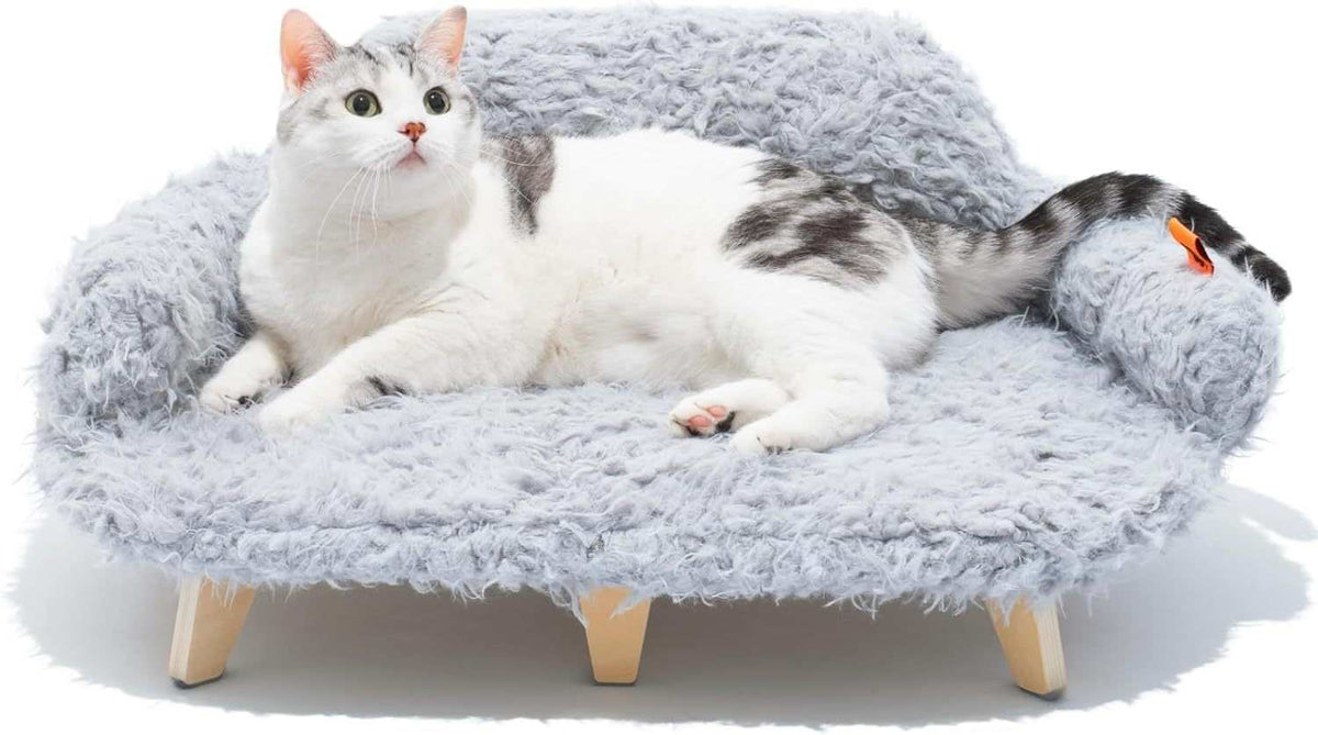 Grey Modern Elevated Pet Bed - Wooden