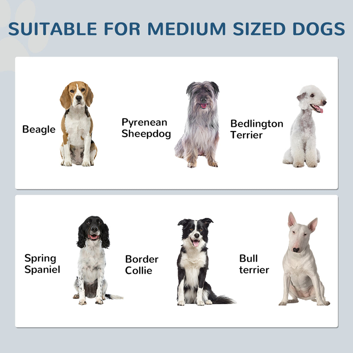 Mealtime Command Center - Dog Feeding Station