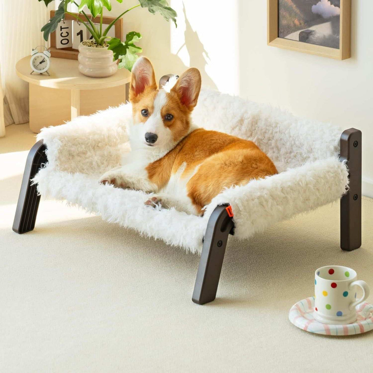Raised Cat Bed - Elevated Plush 44lb Support