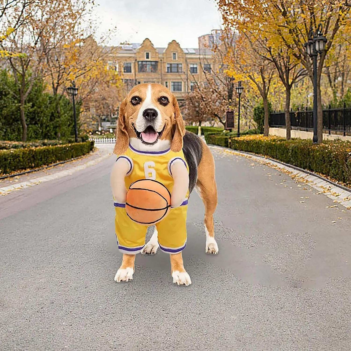 Dog Halloween Costume Basketball Player Jersey