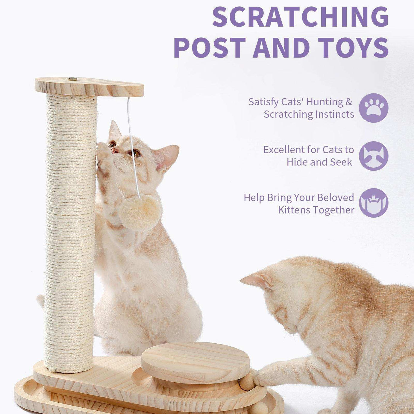 Indoor Cat Soft Scratching Board And Interactive Ball Track Toy Cat Rest And Grooming Supplies