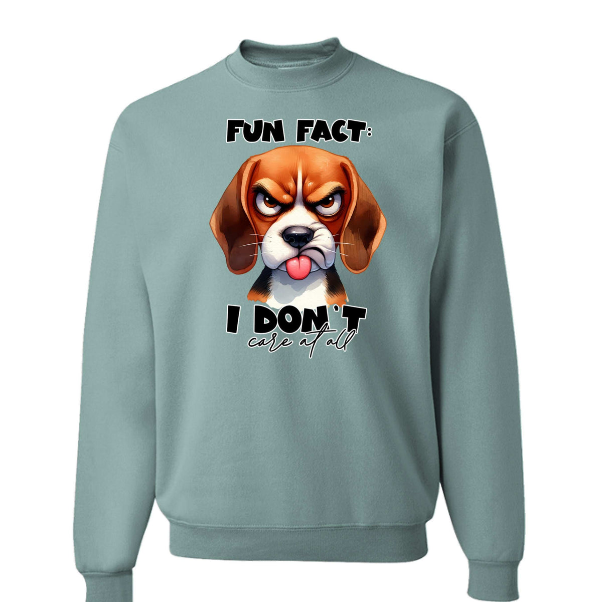 Fun Fact Don't Care Crewneck - Funny Sarcastic Sweatshirt