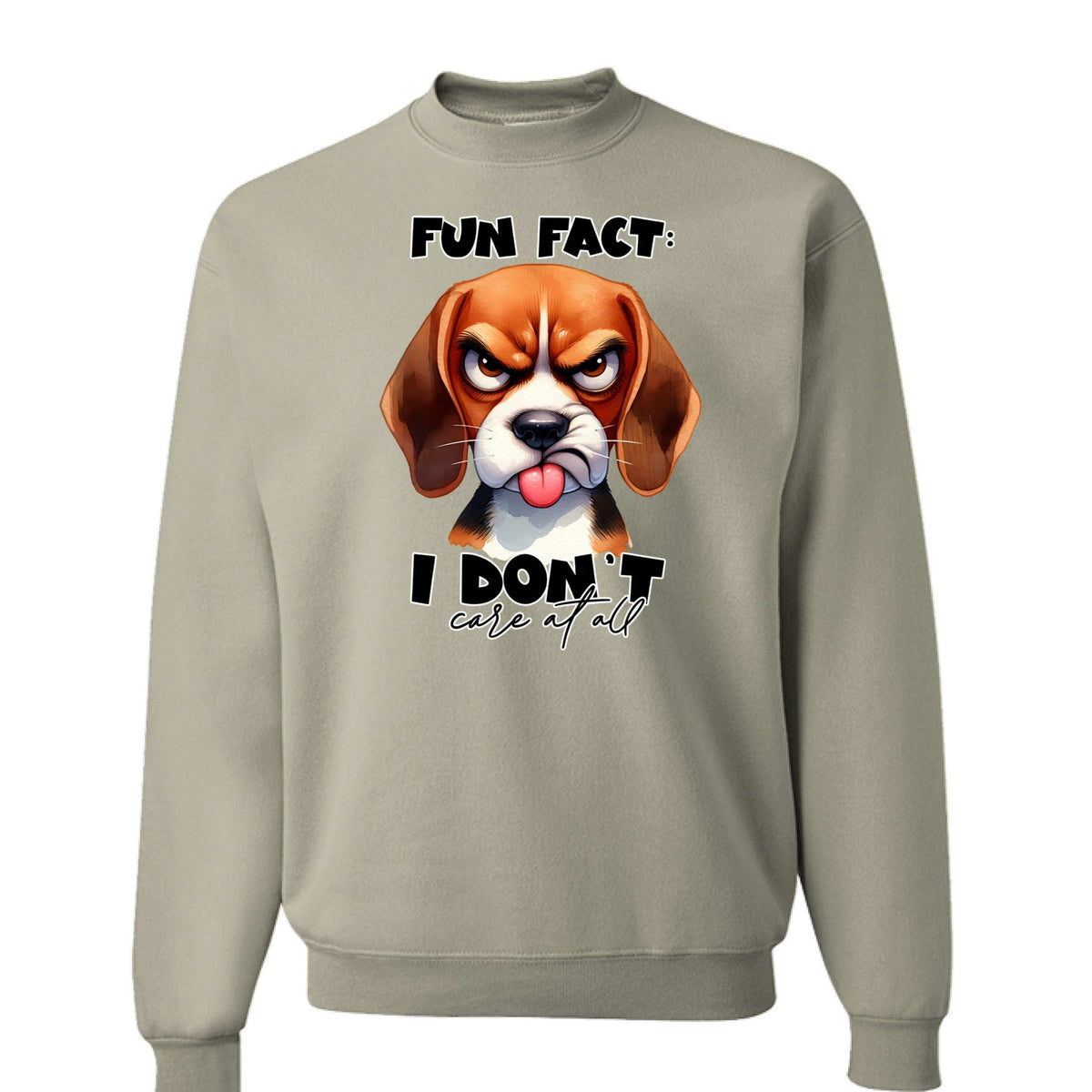 Fun Fact Don't Care Crewneck - Funny Sarcastic Sweatshirt