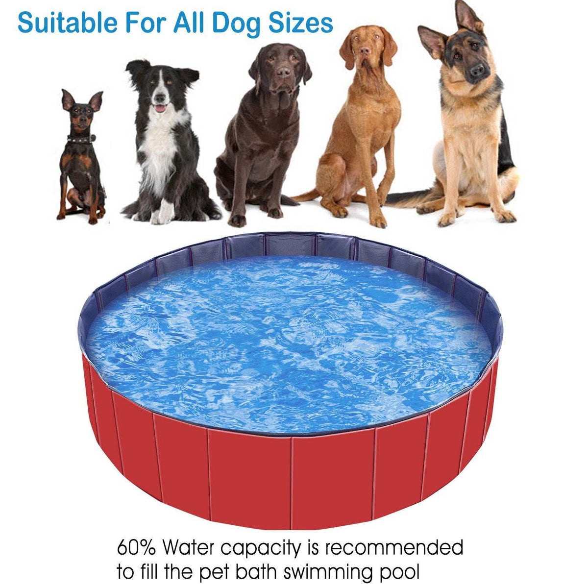 Large Round 63-inch Portable Foldable Dog Pool