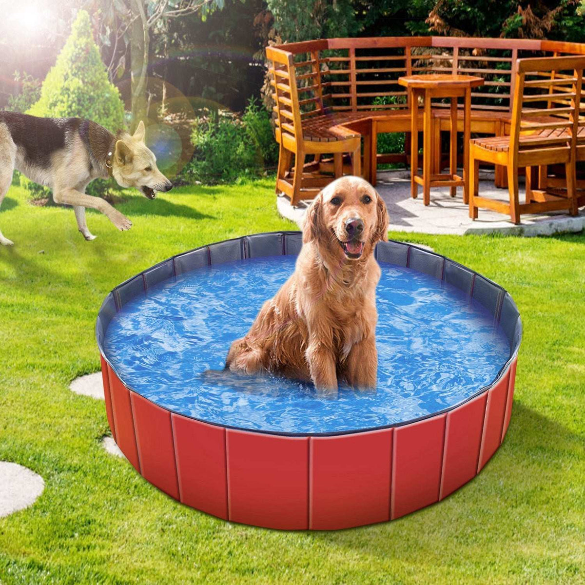 Large Round 63-inch Portable Foldable Dog Pool