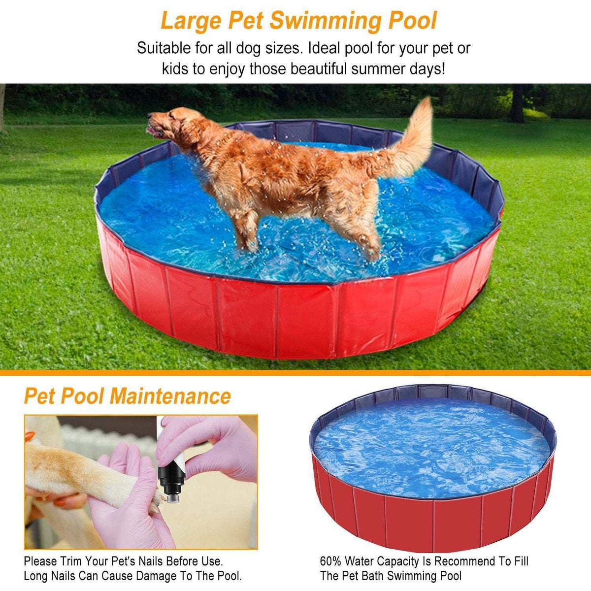 Large Round 63-inch Portable Foldable Dog Pool